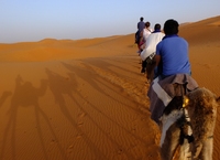 Kamelentocht woestijn Marokko