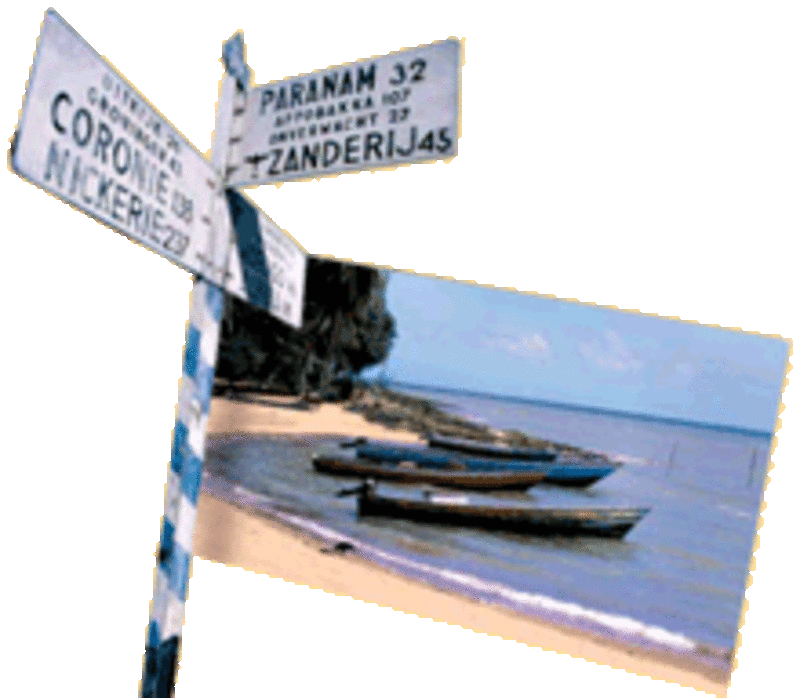 Suriname, Switi Sranan