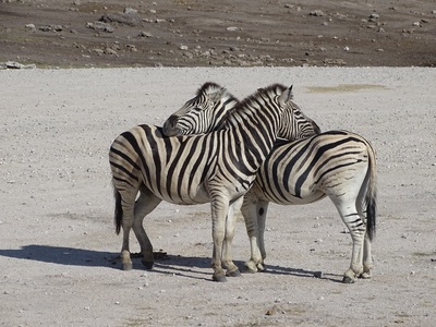 Namibië, Botswana & Victoriawatervallen