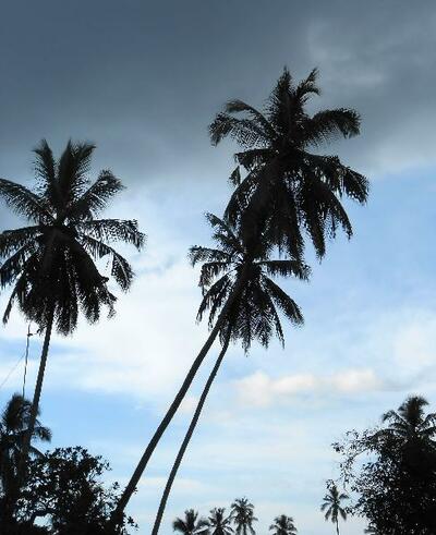 Sri Lanka