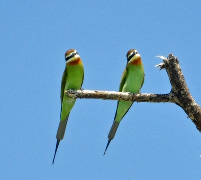 Kenia, Tanzania & Zanzibar