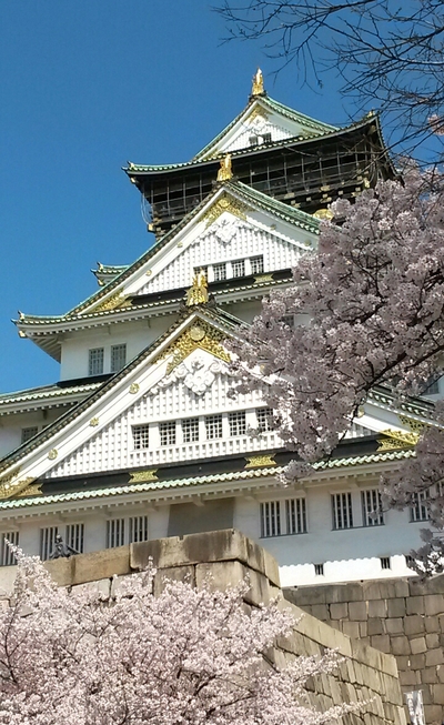 Japan 15 dagen