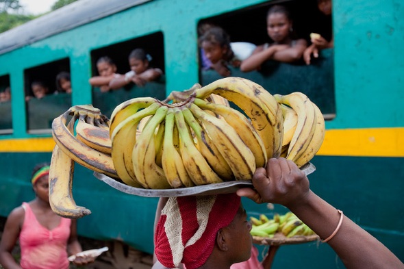 Rondreis Madagascar & Mauritius, 23 dagen