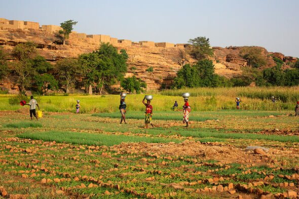 Rondreis Ghana, Togo & Benin, 22 dagen