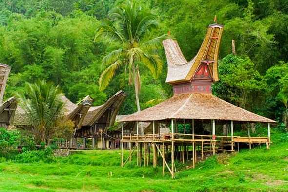 Rondreis Sulawesi, 24 dagen