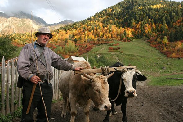 Rondreis Azerbeidzjan, Armenië en Georgië, 21 dagen