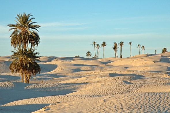 Eclipsreis Tunesië, 8 dagen