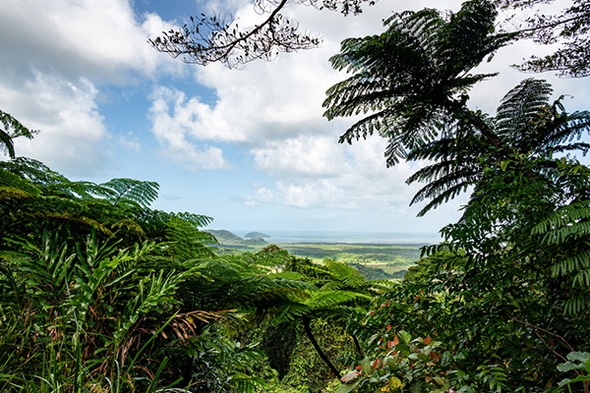 Rondreis Australië met Kangoeroe-eiland, 28 dagen