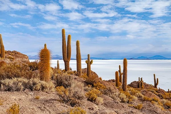 Rondreis Bolivia