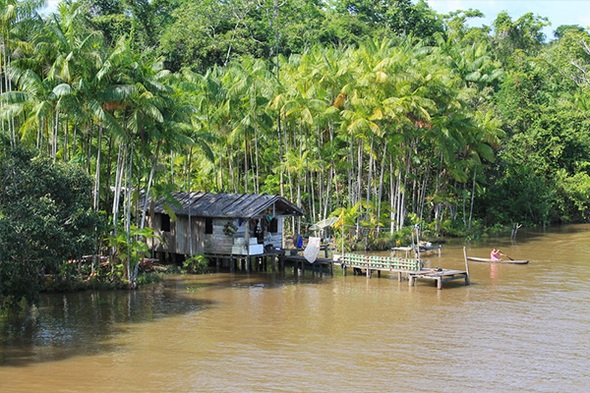 Rondreis Brazilië Amazone, 16 dagen