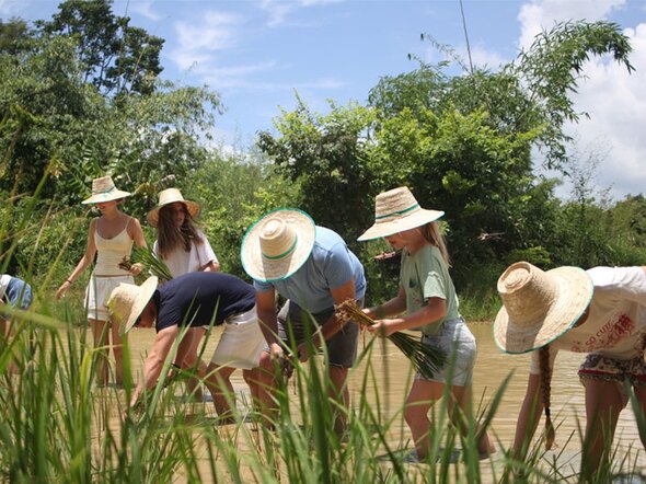 Thailand Noord & Zuid, 21 dagen