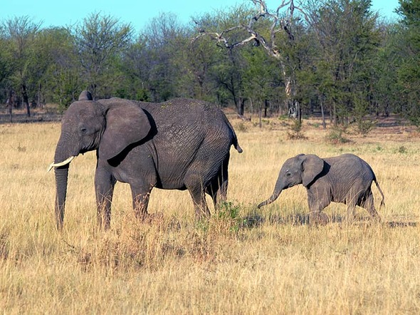 Tanzania & Zanzibar, 21 dagen