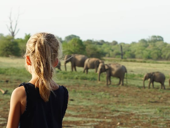 Rondreis Sri Lanka met de kinderen