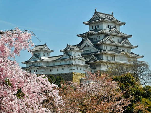 Rondreis Japan met de kinderen