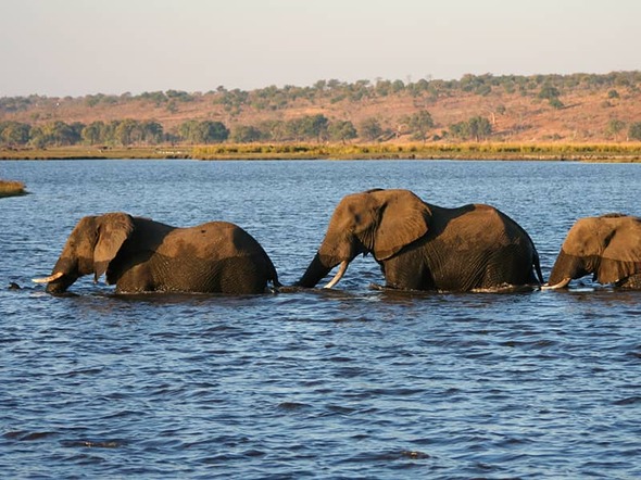 Namibië, Botswana & Victoriawatervallen, 22 dagen