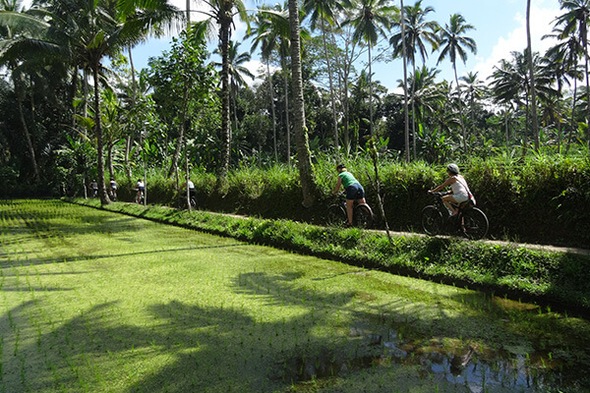 Fietsreis Bali & Lombok, 18 dagen