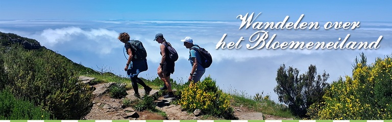 Bekijk de Wandelreis Madeira, 10 dagen van Djoser