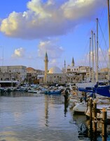 Tel Aviv Jaffa haven Rondreis Junior Israel