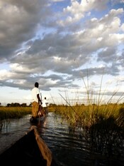 Okavangodelta