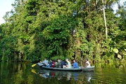 Tortueguero, Costa Rica, Djoser
