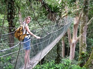 Maleisie Djoser rondreis canopy walk
