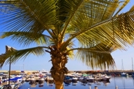 Haven Muscat, oman