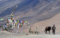 Zandduinen gebedsvlaggen Nubra Ladakh Djoser