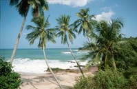 Strand Sri Lanka Djoser