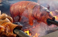 Babi Guling varken Indonesië