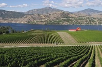 vernon wine vineyard british columbia canada Djoser