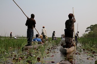 Okavangadelta Botswana toerist in Mokoro Djoser