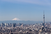 Tokyo Mt. Fuji Japan