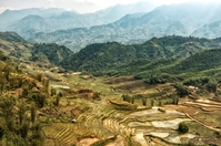 Sa Pa rijstveld Vietnam