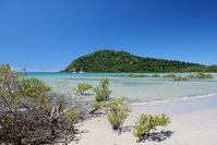 Cape Tribulation Australie Djoser