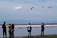 Baringo meer Kenia Djoser