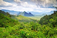 Khao Sok NP Jungle Djoser Family Thailand