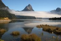 Fiordland, Nieuw Zeeland