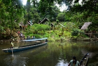 Jungle Ecuador 