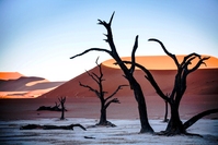 Deadvlei in the Sossusvlei Namibia