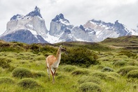 Torres del Paine NP Chili