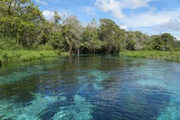 Djoser Brazilie Bonito snorkelen Rio Sucuri