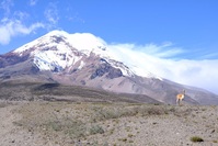 Chimborazo Ecuador