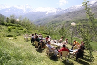 Tuin hotel Keylong India Djoser