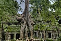 Angkor Wat tempel Cambodja