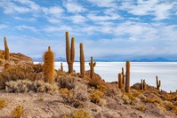 Uyuni zoutvlakte Bolivia
