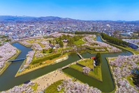 Hakodate fort kersenbloesem Japan