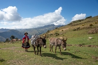 Vrouw in Peru