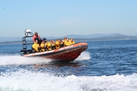 Tourists whale watching tour Vancouver island Canada