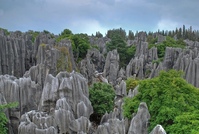 Stenen woud CHina Djoser