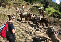 Wandelen Nepal